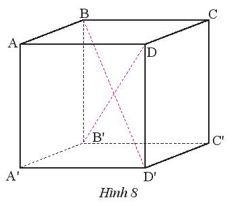 thuc-hanh-3-trang-49-toan-7-tap-1-CTST