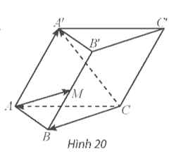 thuc-hanh-6-trang-47-toan-12-tap-1-CTST